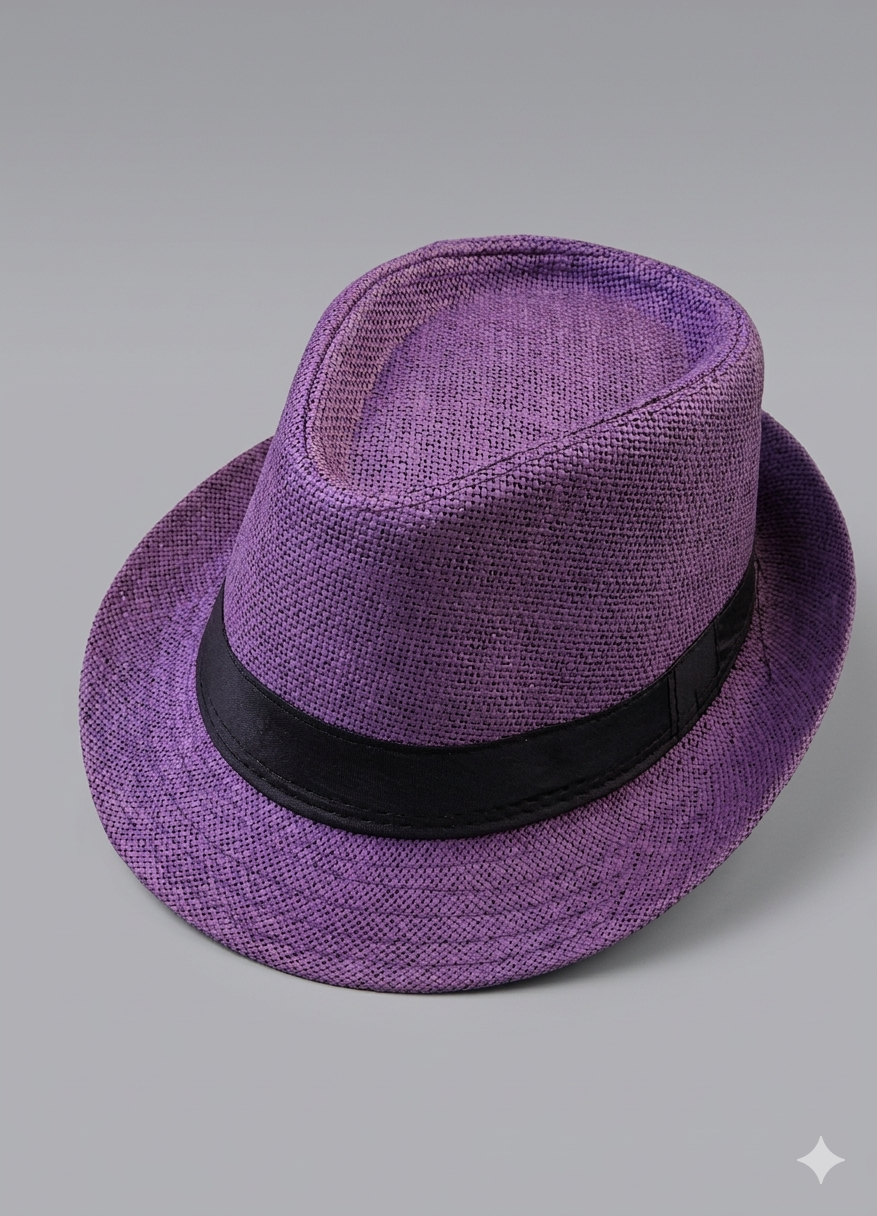 Chapéu Panamá aba curta